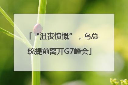 “沮丧愤慨”，乌总统提前离开G7峰会