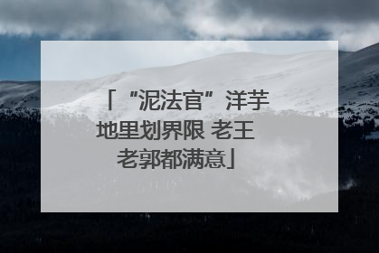 “泥法官”洋芋地里划界限 老王老郭都满意