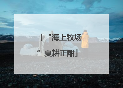 “海上牧场”夏耕正酣