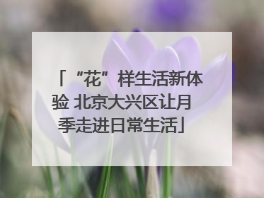 “花”样生活新体验 北京大兴区让月季走进日常生活