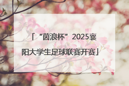 “茵浪杯”2025襄阳大学生足球联赛开赛