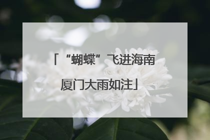 “蝴蝶”飞进海南 厦门大雨如注