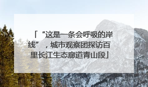 “这是一条会呼吸的岸线”，城市观察团探访百里长江生态廊道青山段
