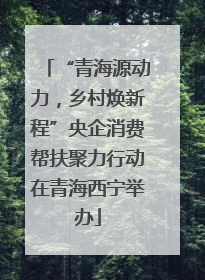 “青海源动力，乡村焕新程”央企消费帮扶聚力行动在青海西宁举办