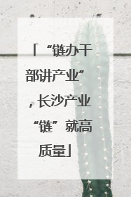 “链办干部讲产业”，长沙产业“链”就高质量
