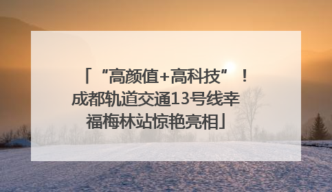 “高颜值+高科技”！成都轨道交通13号线幸福梅林站惊艳亮相