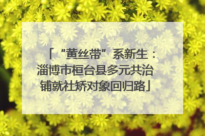 “黄丝带”系新生：淄博市桓台县多元共治铺就社矫对象回归路