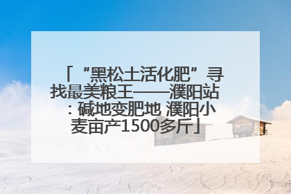 “黑松土活化肥”寻找最美粮王——濮阳站：碱地变肥地 濮阳小麦亩产1500多斤