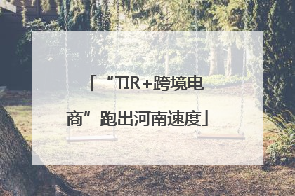 “TIR+跨境电商”跑出河南速度