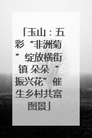 玉山：五彩“非洲菊”绽放横街镇 朵朵“振兴花”催生乡村共富图景