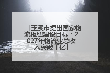 玉溪市提出国家物流枢纽建设目标：2027年物流业总收入突破千亿