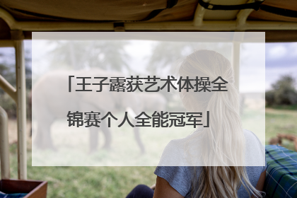 王子露获艺术体操全锦赛个人全能冠军