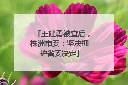王建勇被查后，株洲市委：坚决拥护省委决定