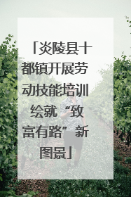 炎陵县十都镇开展劳动技能培训 绘就“致富有路”新图景