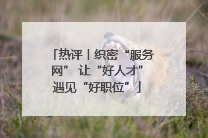 热评丨织密“服务网” 让“好人才”遇见“好职位”