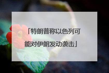 特朗普称以色列可能对伊朗发动袭击