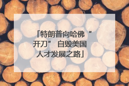 特朗普向哈佛“开刀” 自毁美国人才发展之路