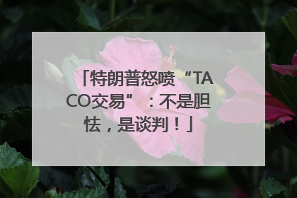 特朗普怒喷“TACO交易”：不是胆怯，是谈判！