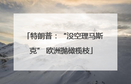 特朗普：“没空理马斯克” 欧洲抛橄榄枝