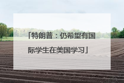 特朗普：仍希望有国际学生在美国学习