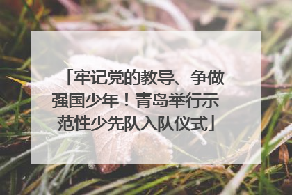 牢记党的教导、争做强国少年！青岛举行示范性少先队入队仪式
