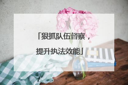狠抓队伍督察，提升执法效能