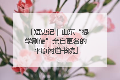 短史记｜山东“提学副使”亲自更名的平原闲道书院