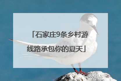 石家庄9条乡村游线路承包你的夏天