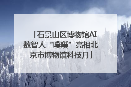 石景山区博物馆AI数智人“噗噗”亮相北京市博物馆科技月