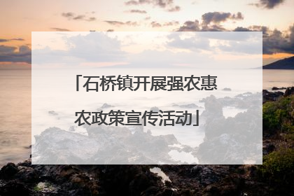 石桥镇开展强农惠农政策宣传活动