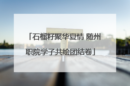 石榴籽聚华夏情 随州职院学子共绘团结卷
