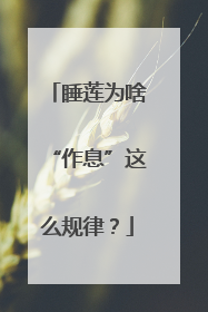 睡莲为啥“作息”这么规律？