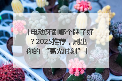 电动牙刷哪个牌子好？2025推荐，刷出你的 “高光时刻”