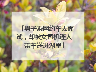 男子乘网约车去面试，却被女司机连人带车送进湖里