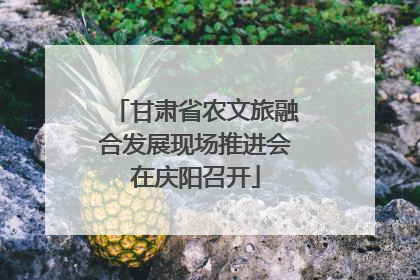 甘肃省农文旅融合发展现场推进会在庆阳召开