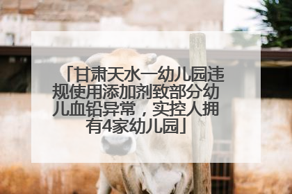 甘肃天水一幼儿园违规使用添加剂致部分幼儿血铅异常，实控人拥有4家幼儿园