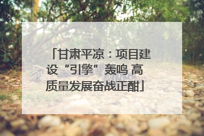 甘肃平凉：项目建设“引擎”轰鸣 高质量发展奋战正酣