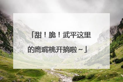 甜！脆！武平这里的鹰嘴桃开摘啦～
