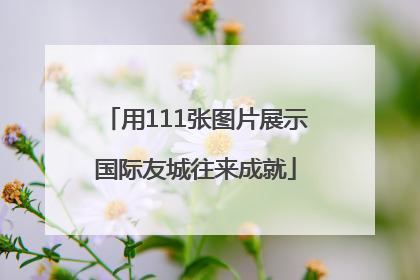 用111张图片展示国际友城往来成就