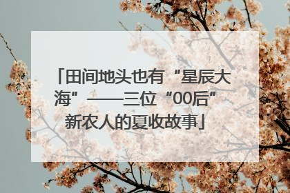 田间地头也有“星辰大海”——三位“00后”新农人的夏收故事