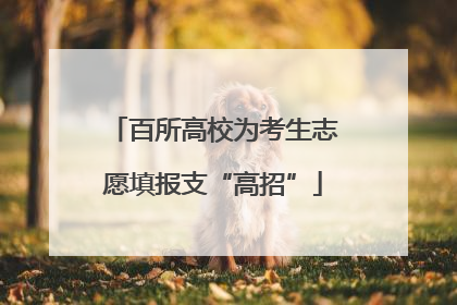 百所高校为考生志愿填报支“高招”