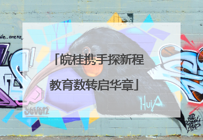 皖桂携手探新程 教育数转启华章