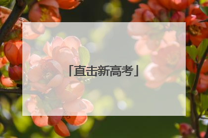 直击新高考