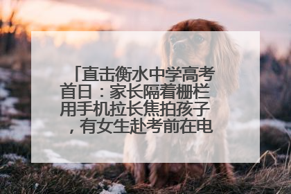 直击衡水中学高考首日：家长隔着栅栏用手机拉长焦拍孩子，有女生赴考前在电话亭与家人通话