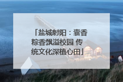 盐城射阳：囊香粽香飘溢校园 传统文化深植心田