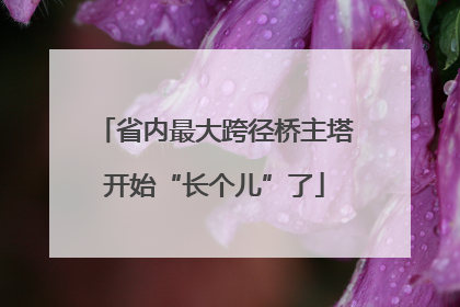 省内最大跨径桥主塔开始“长个儿”了