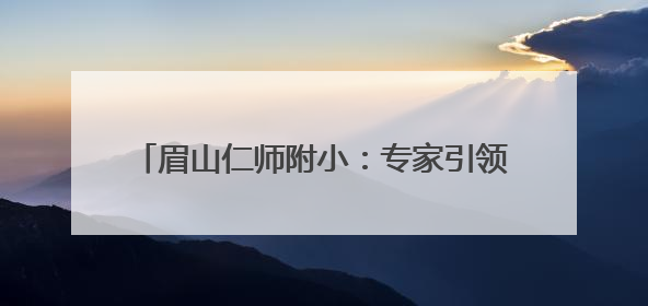 眉山仁师附小：专家引领促发展，精研课题启新篇