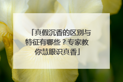 真假沉香的区别与特征有哪些？专家教你慧眼识真香