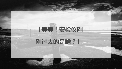 等等！安检仪刚刚过去的是啥？