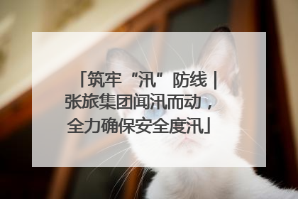 筑牢“汛”防线｜张旅集团闻汛而动，全力确保安全度汛